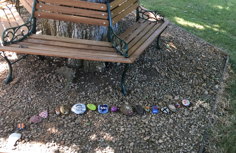 June 1, 2020. The Village Green:  The oak tree, the bench, the stones and the snake