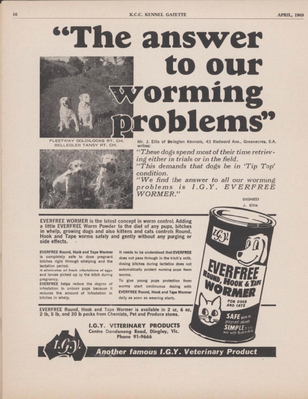 Advertisement for Everfree