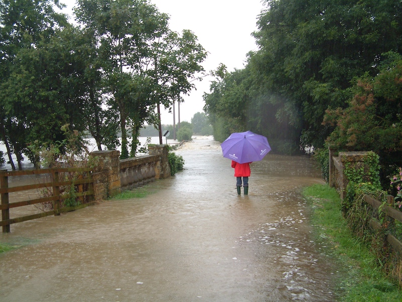 2007 bridge and umbrella